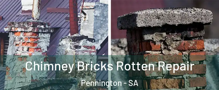 Chimney Bricks Rotten Repair Pennington - SA