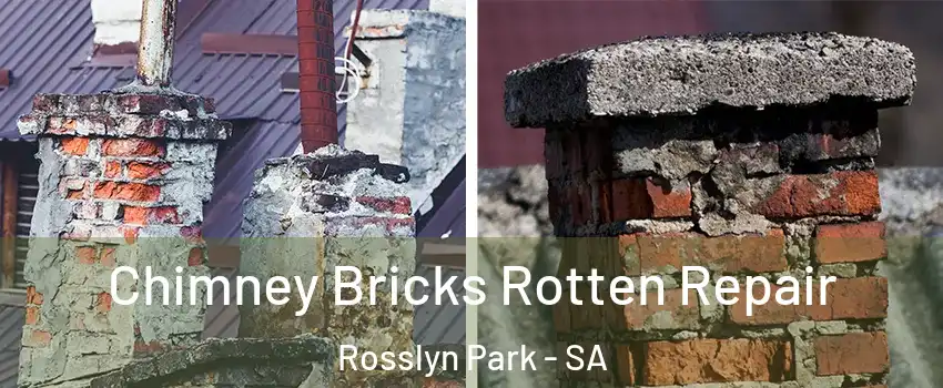 Chimney Bricks Rotten Repair Rosslyn Park - SA