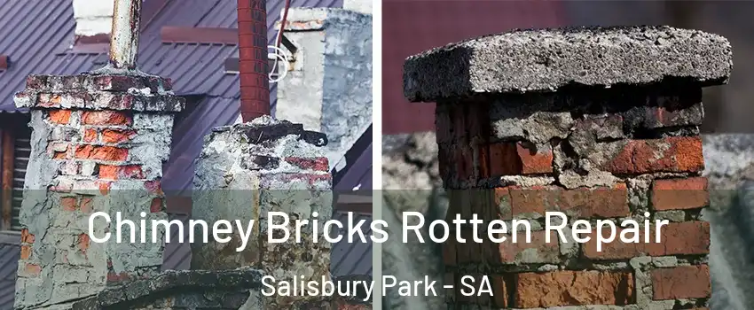 Chimney Bricks Rotten Repair Salisbury Park - SA