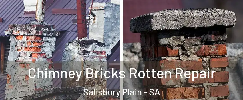 Chimney Bricks Rotten Repair Salisbury Plain - SA
