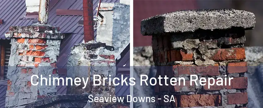Chimney Bricks Rotten Repair Seaview Downs - SA