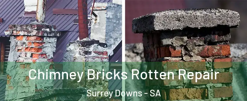 Chimney Bricks Rotten Repair Surrey Downs - SA