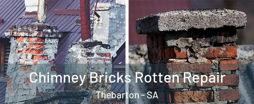 Chimney Bricks Rotten Repair Thebarton - SA