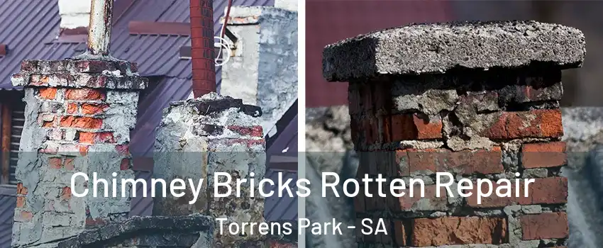 Chimney Bricks Rotten Repair Torrens Park - SA