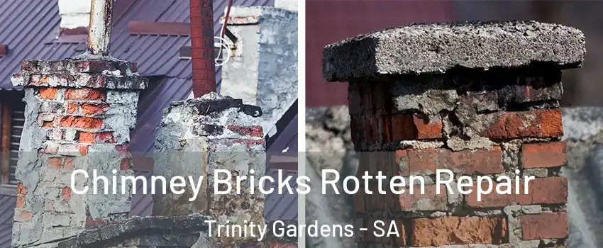 Chimney Bricks Rotten Repair Trinity Gardens - SA