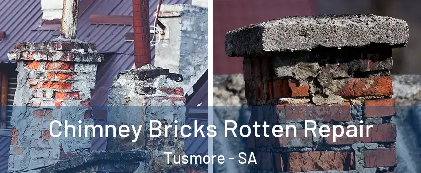 Chimney Bricks Rotten Repair Tusmore - SA