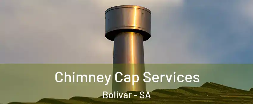 Chimney Cap Services Bolivar - SA
