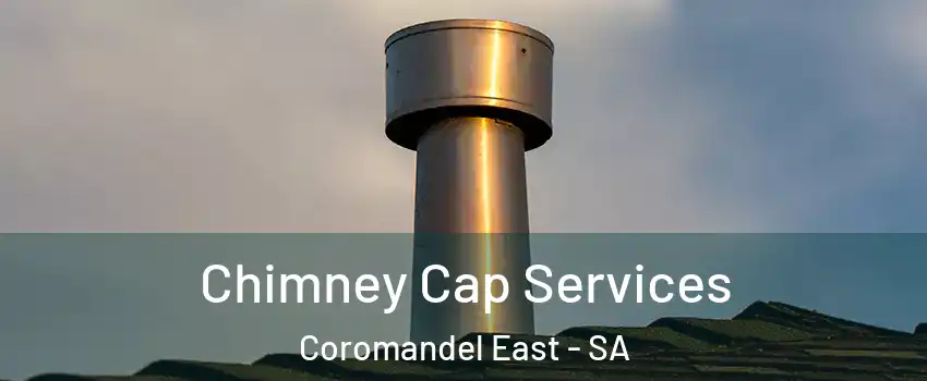 Chimney Cap Services Coromandel East - SA
