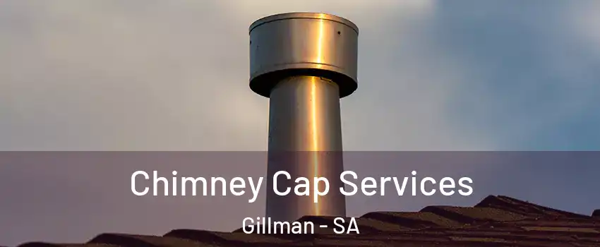 Chimney Cap Services Gillman - SA