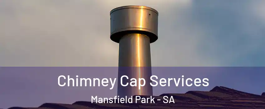 Chimney Cap Services Mansfield Park - SA