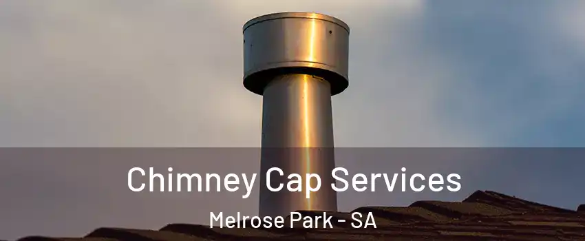 Chimney Cap Services Melrose Park - SA