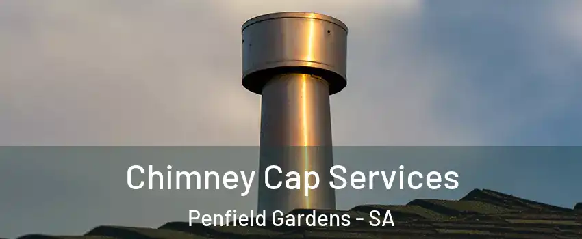 Chimney Cap Services Penfield Gardens - SA