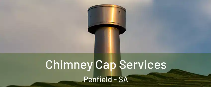 Chimney Cap Services Penfield - SA