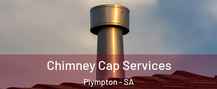 Chimney Cap Services Plympton - SA