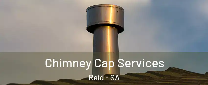 Chimney Cap Services Reid - SA