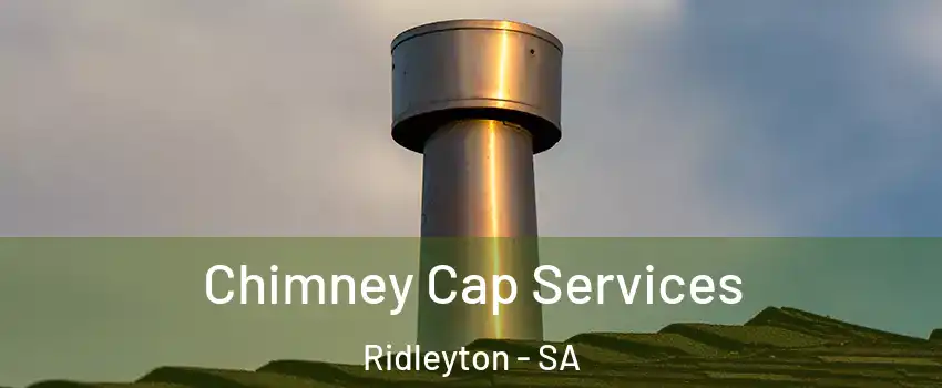 Chimney Cap Services Ridleyton - SA