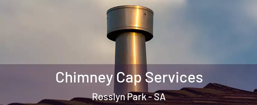 Chimney Cap Services Rosslyn Park - SA