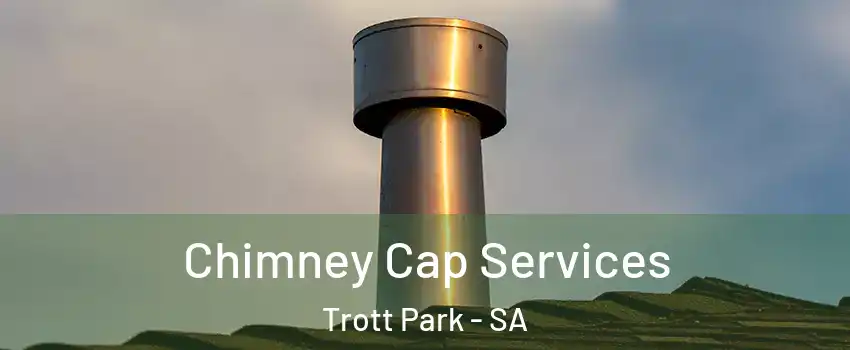 Chimney Cap Services Trott Park - SA