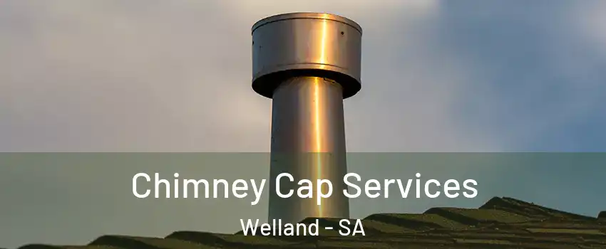 Chimney Cap Services Welland - SA