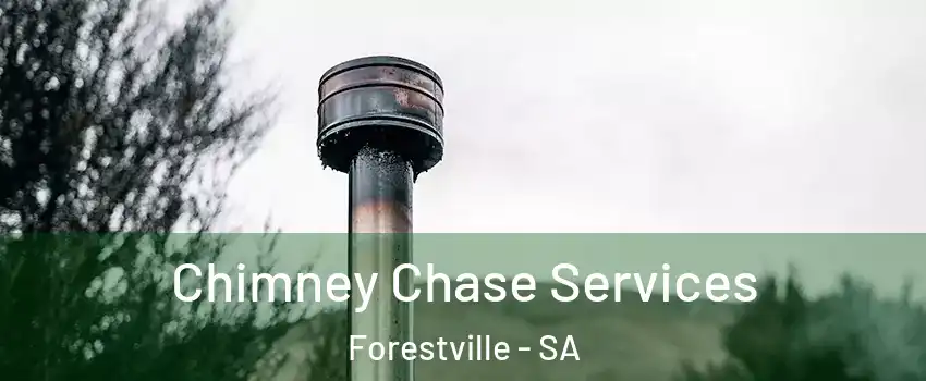 Chimney Chase Services Forestville - SA