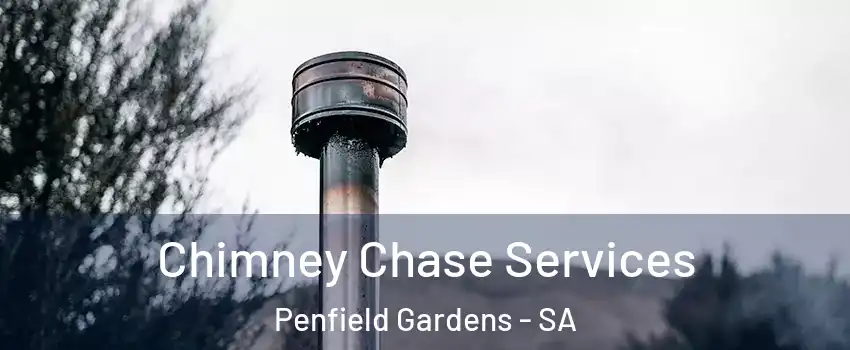 Chimney Chase Services Penfield Gardens - SA