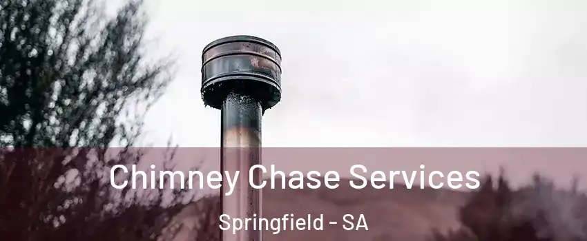 Chimney Chase Services Springfield - SA
