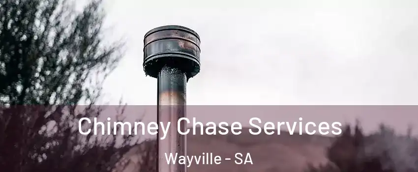 Chimney Chase Services Wayville - SA