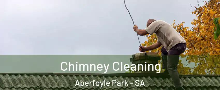 Chimney Cleaning Aberfoyle Park - SA