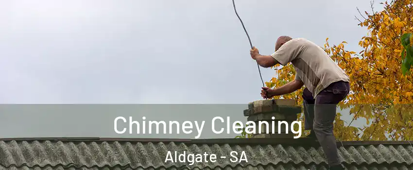  Chimney Cleaning Aldgate - SA