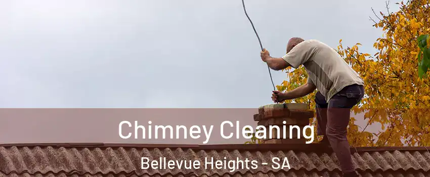 Chimney Cleaning Bellevue Heights - SA