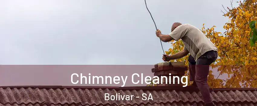 Chimney Cleaning Bolivar - SA