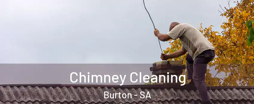  Chimney Cleaning Burton - SA