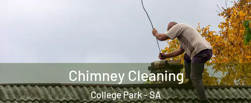 Chimney Cleaning College Park - SA