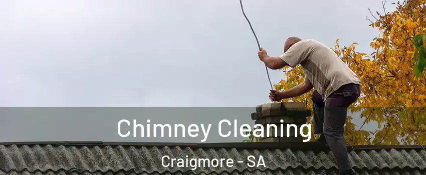 Chimney Cleaning Craigmore - SA