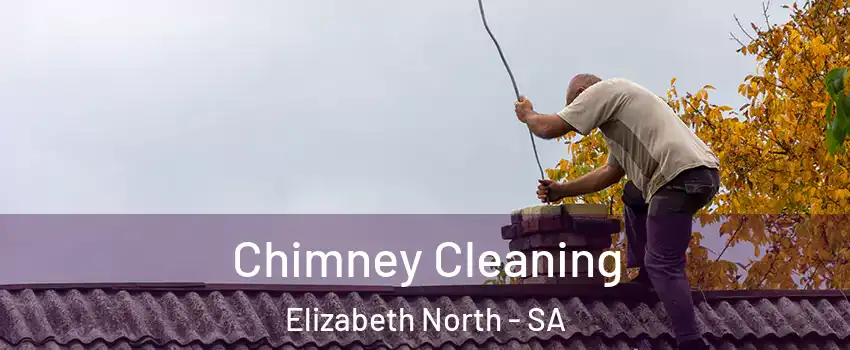 Chimney Cleaning Elizabeth North - SA