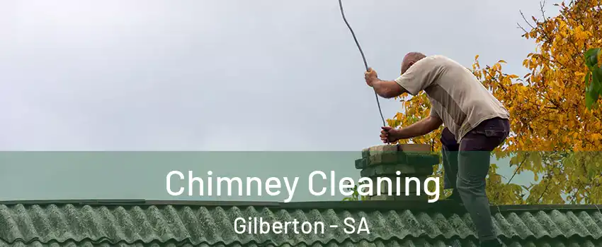  Chimney Cleaning Gilberton - SA