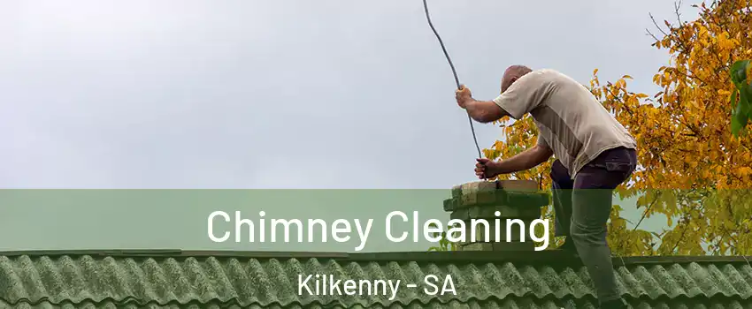  Chimney Cleaning Kilkenny - SA