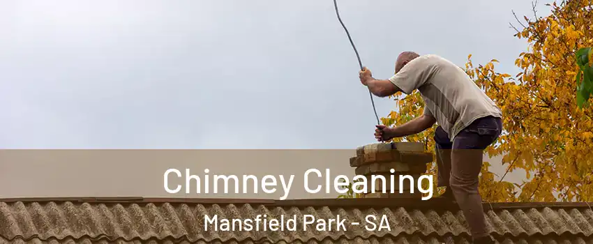 Chimney Cleaning Mansfield Park - SA