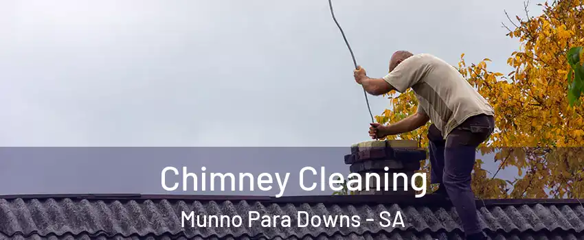Chimney Cleaning Munno Para Downs - SA