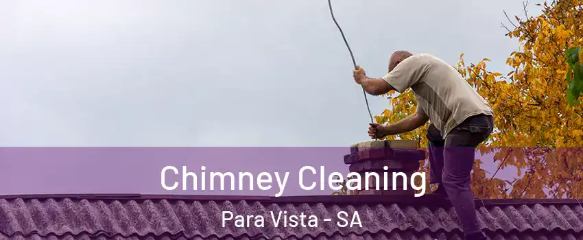 Chimney Cleaning Para Vista - SA