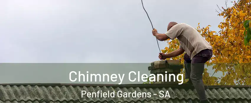  Chimney Cleaning Penfield Gardens - SA