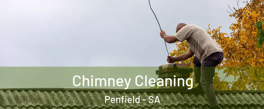 Chimney Cleaning Penfield - SA
