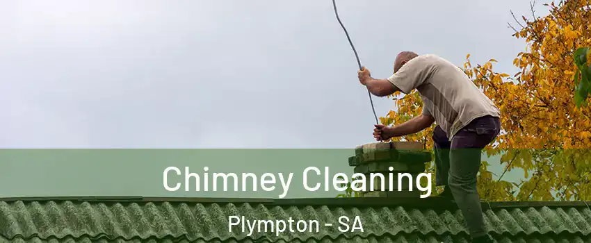 Chimney Cleaning Plympton - SA