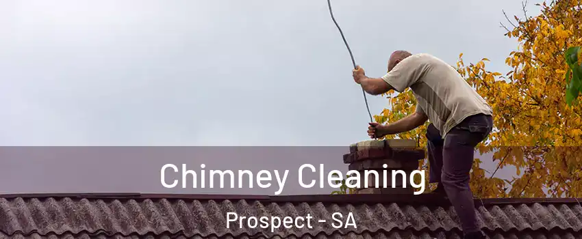 Chimney Cleaning Prospect - SA