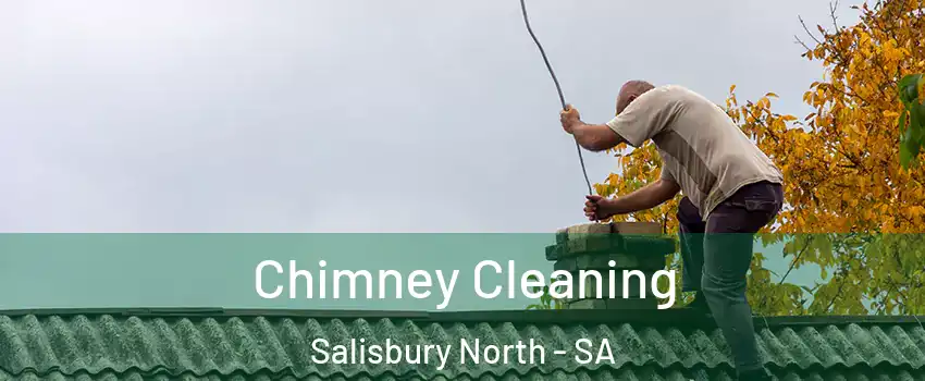 Chimney Cleaning Salisbury North - SA