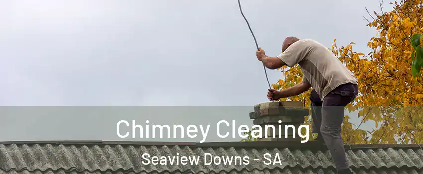Chimney Cleaning Seaview Downs - SA