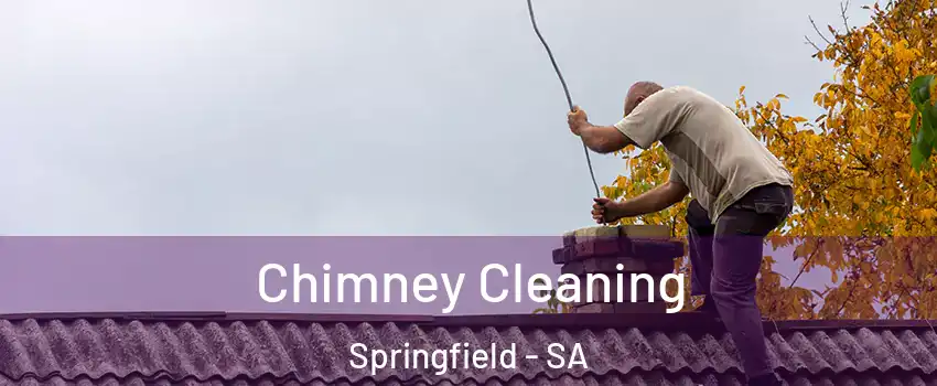  Chimney Cleaning Springfield - SA