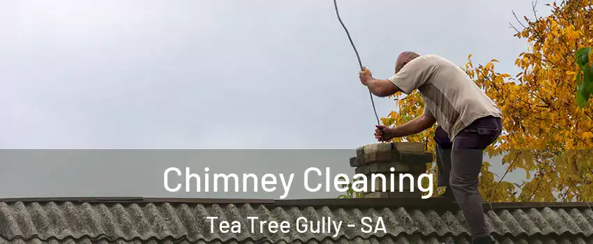  Chimney Cleaning Tea Tree Gully - SA