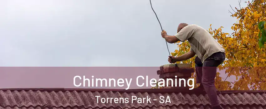  Chimney Cleaning Torrens Park - SA