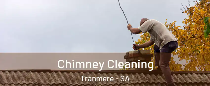 Chimney Cleaning Tranmere - SA